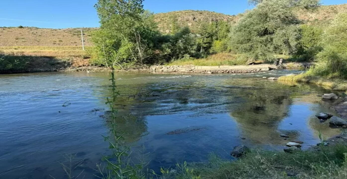 BEKİR KARASU HAKKINDA