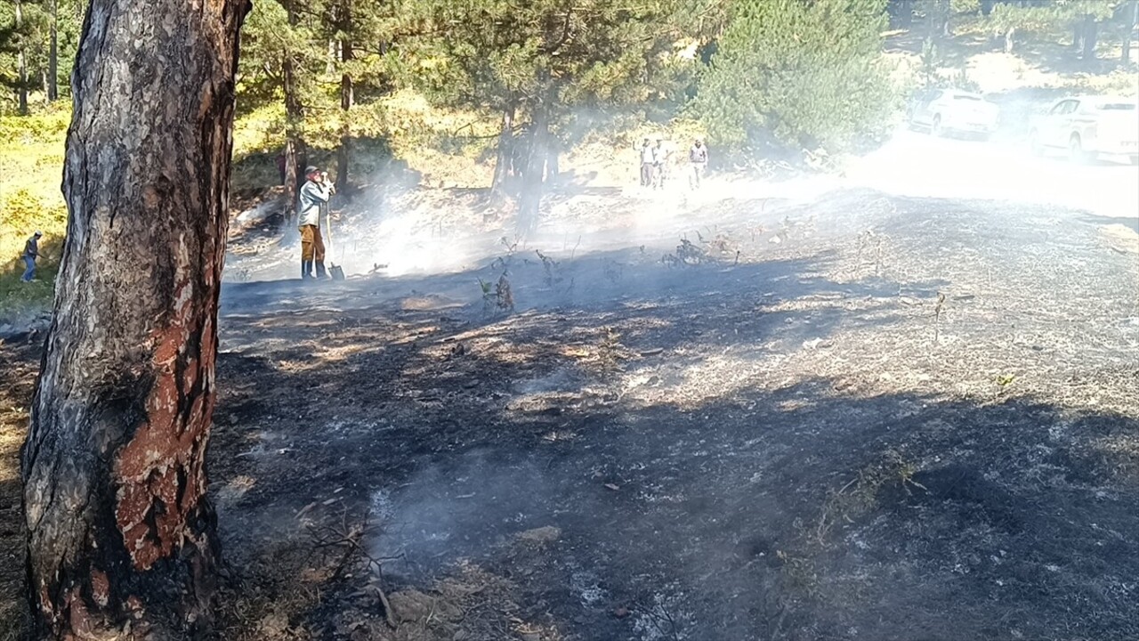 Bilecik'in Pazaryeri ilçesinde çıkan orman yangını ekiplerin müdahalesiyle söndürüldü.