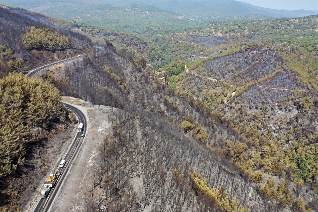 İzmir, Aydın, Manisa ve Uşak'ta ekiplerin aralıksız mücadele ettiği orman yangınları sonrası yeşil...