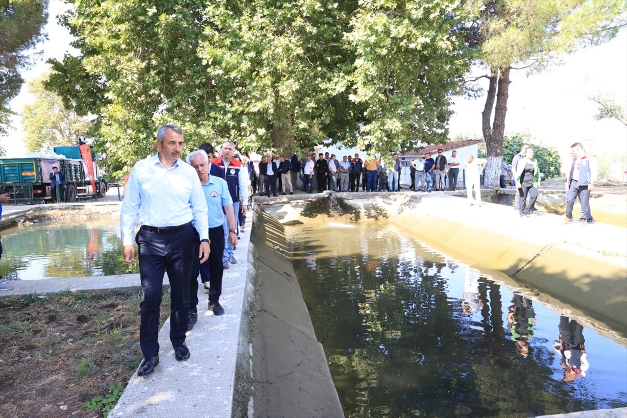 Edirne'nin İpsala ilçesindeki Su Ürünleri Üretim İstasyonu'nda bu yıl yetiştirilen 10 milyon yavru...