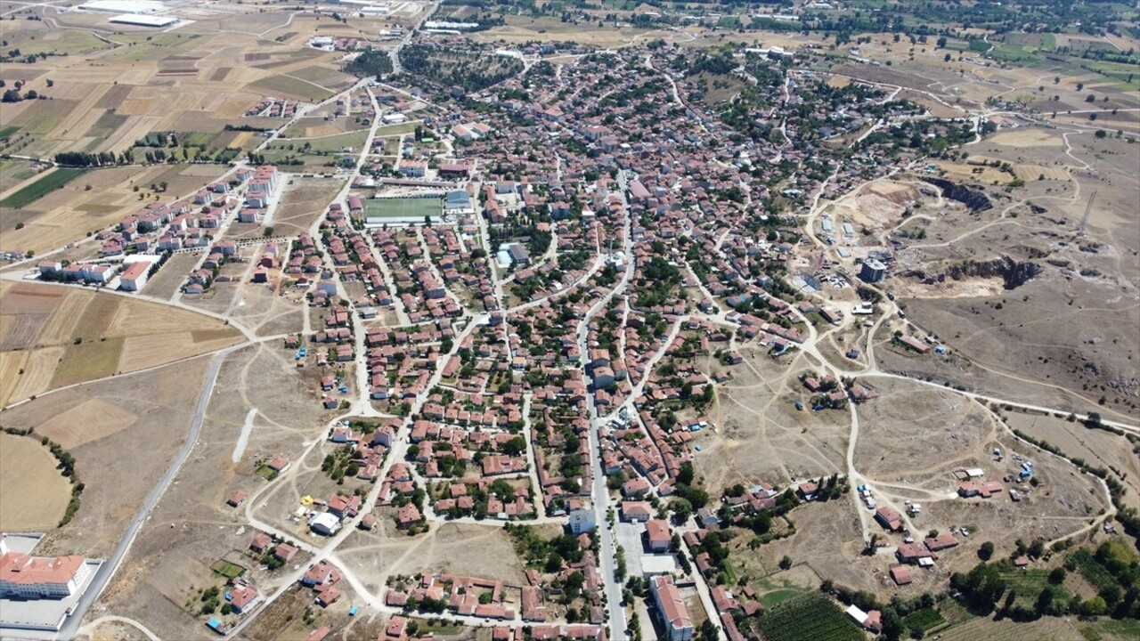 Türkiye'de yalnızca Bilecik'in Pazaryeri ilçesinde üretilen şerbetçi otunun hasadı ilçe genelinde...