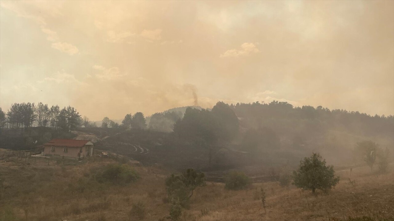  Ankara'nın Kızılcahamam ilçesinde otluk alanda başlayan yangının Bolu'nun Gerede ilçesinde...