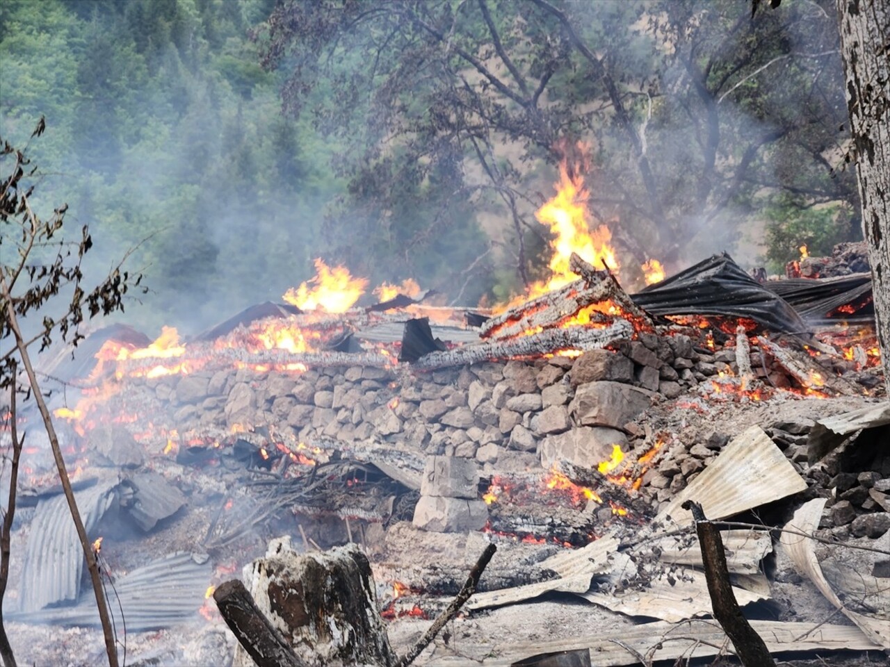 Artvin'in Şavşat ilçesine bağlı Çukur köyü Digazeler Mahallesi'nde akşam saatlerinde Şemsettin...