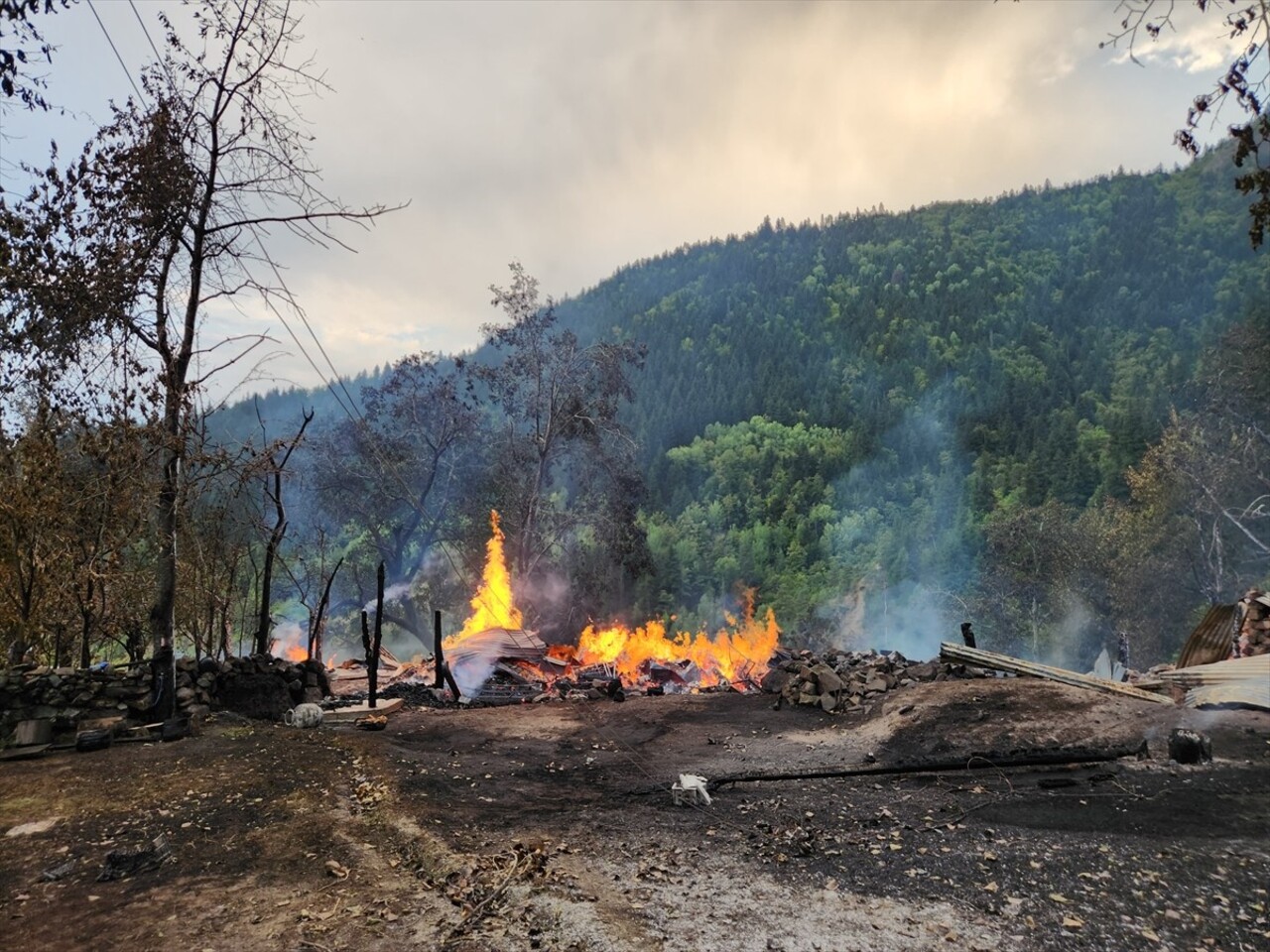 Artvin'in Şavşat ilçesine bağlı Çukur köyü Digazeler Mahallesi'nde akşam saatlerinde Şemsettin...