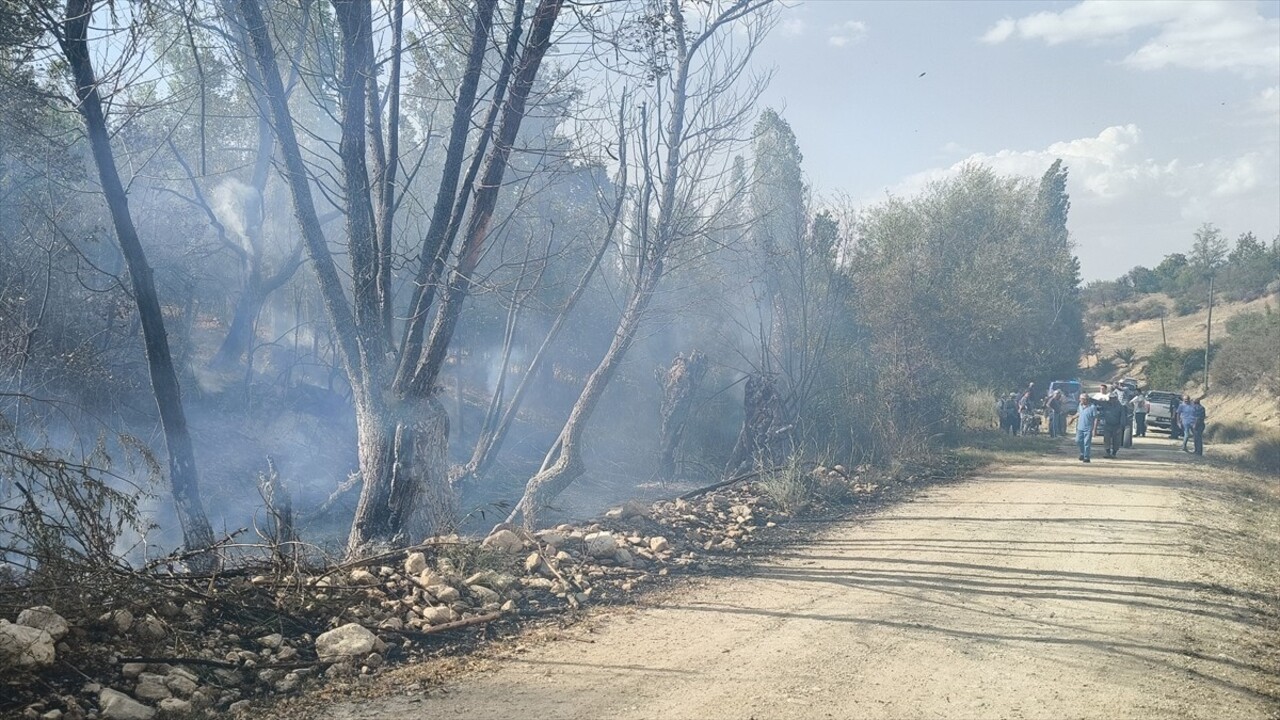 Burdur'un Tefenni ilçesinde otluk alanda çıkan yangın, ormanlık alana sıçramadan...