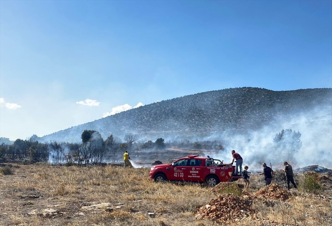 Isparta'nın Şarkikaraağaç ilçesinde çıkan orman yangını söndürüldü. Yangında 10 hektarlık meşelik...