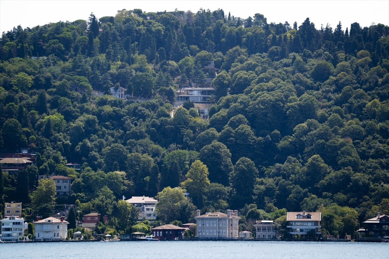 İstanbul Çevre Şehircilik ve İklim Değişikliği İl Müdürlüğü ekipleri, Üsküdar Vaniköy'de Boğaziçi...