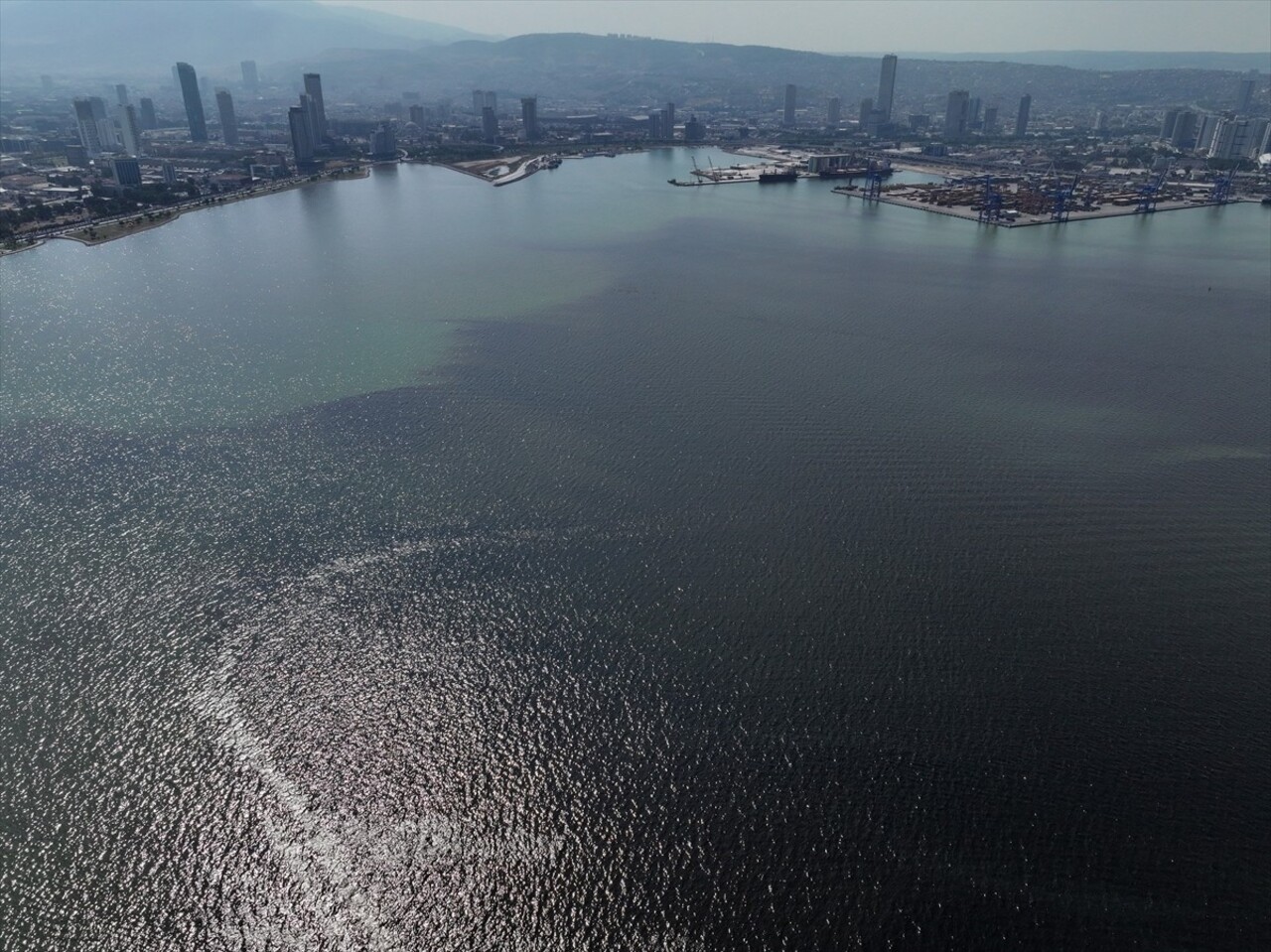 İzmir Körfezi'nde Bayraklı ilçesi sahilinde görülen balık ölümleri ve kötü koku, yayılarak...