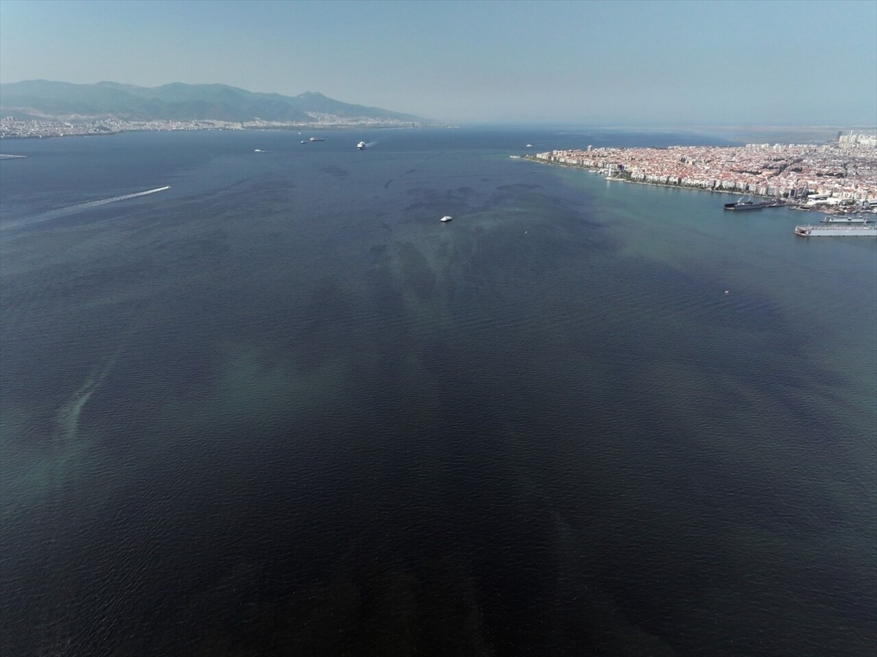 İzmir Körfezi'nde Bayraklı ilçesi sahilinde görülen balık ölümleri ve kötü koku, yayılarak...