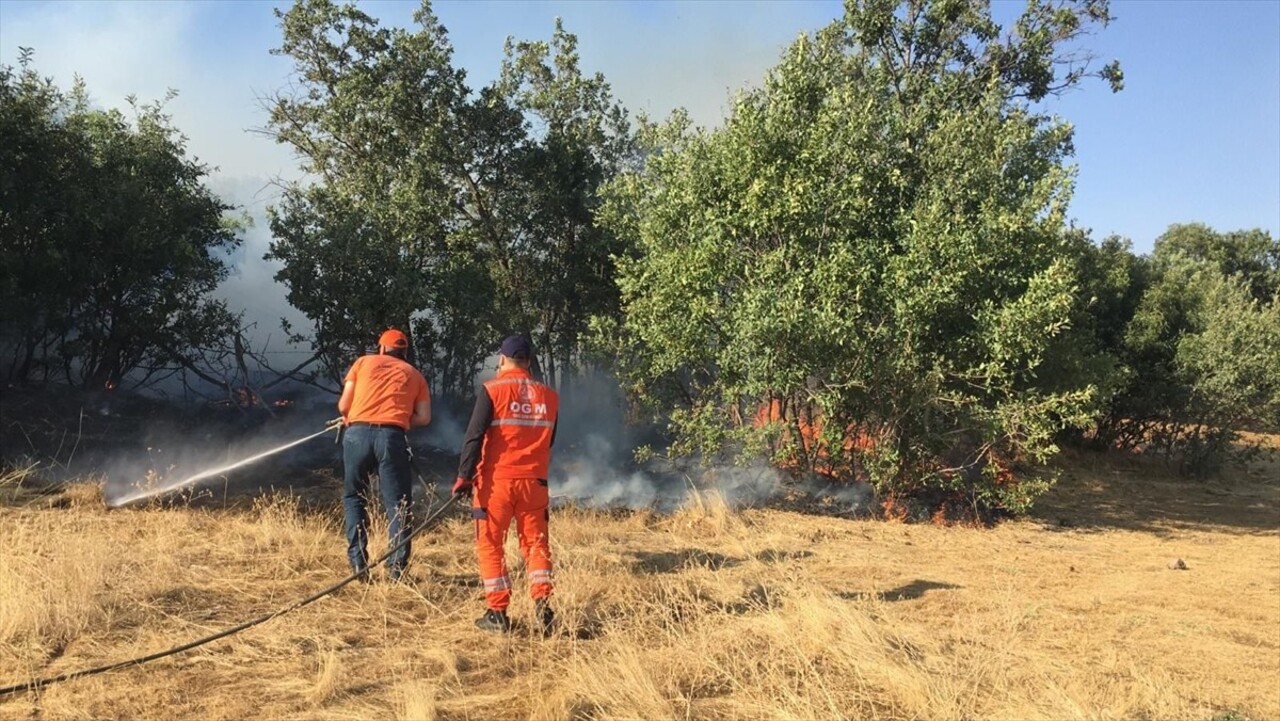 Bingöl'de 2 bölgede çıkan orman ve örtü yangını söndürüldü. Merkeze bağlı Köklü köyündeki ormanlık...