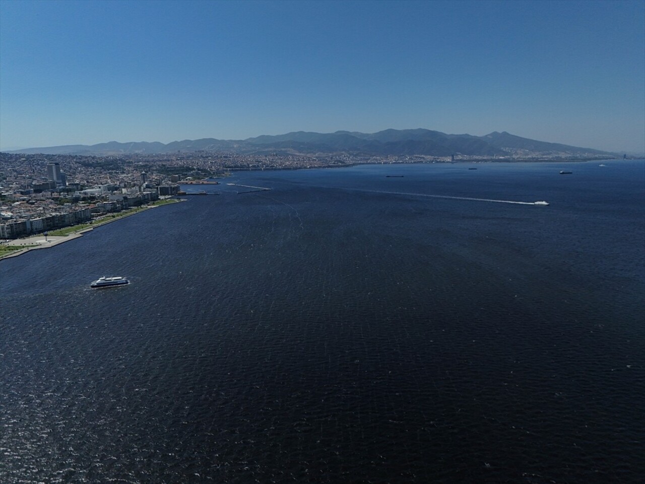 Çevre, Şehircilik ve İklim Değişikliği Bakanlığı ekipleri, İzmir Körfezi'nde meydana gelen balık...