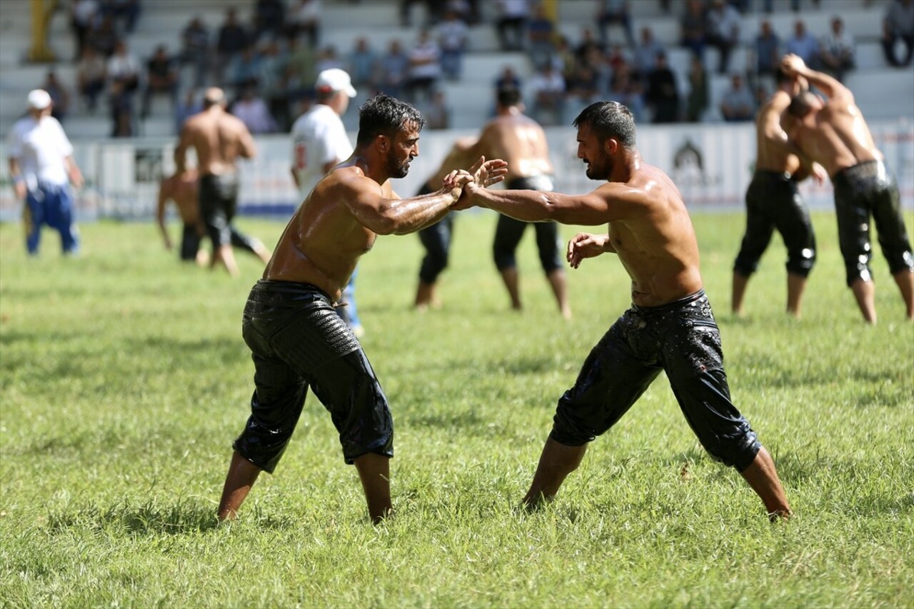 Sakarya'da Akyazı Belediyesince düzenlenen 59. Akbalık Yağlı Güreşleri'nde 14 kategoride 20'si...