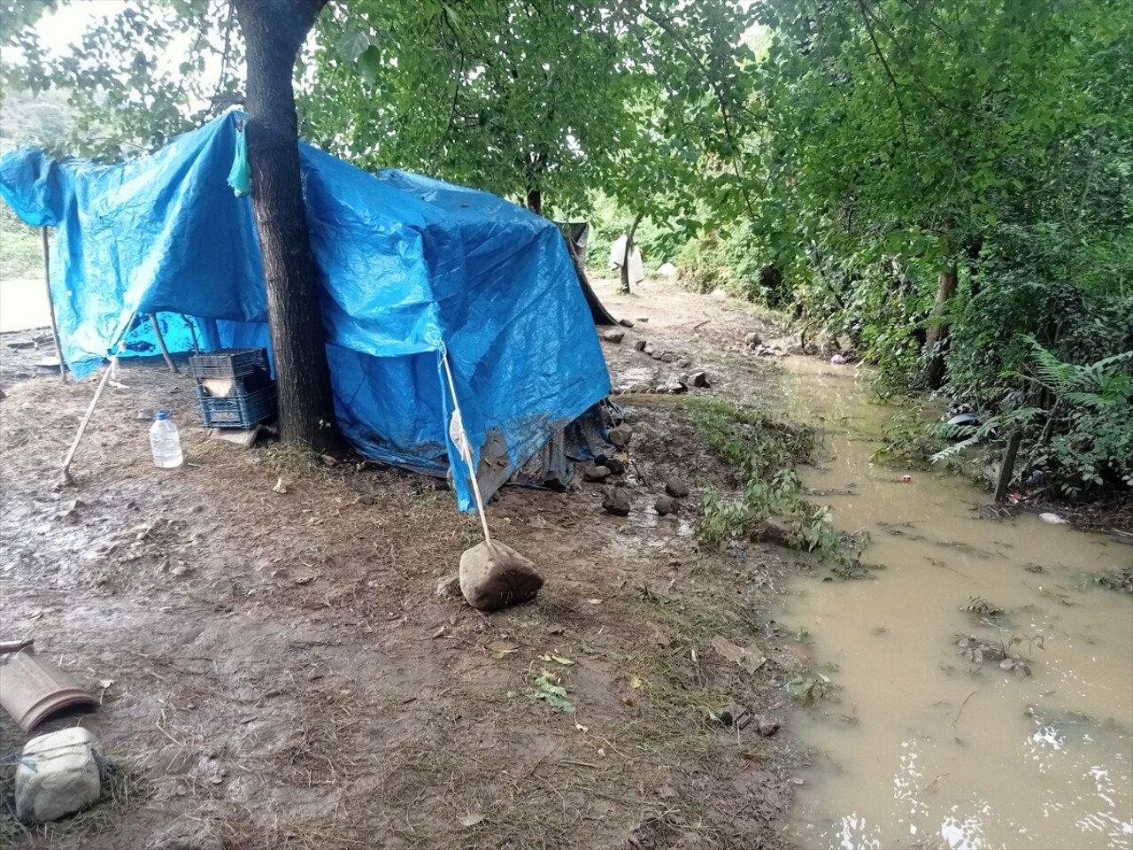 Samsun'un Terme ilçesinde etkili olan sağanak nedeniyle fındık toplamak için bölgede bulunan...