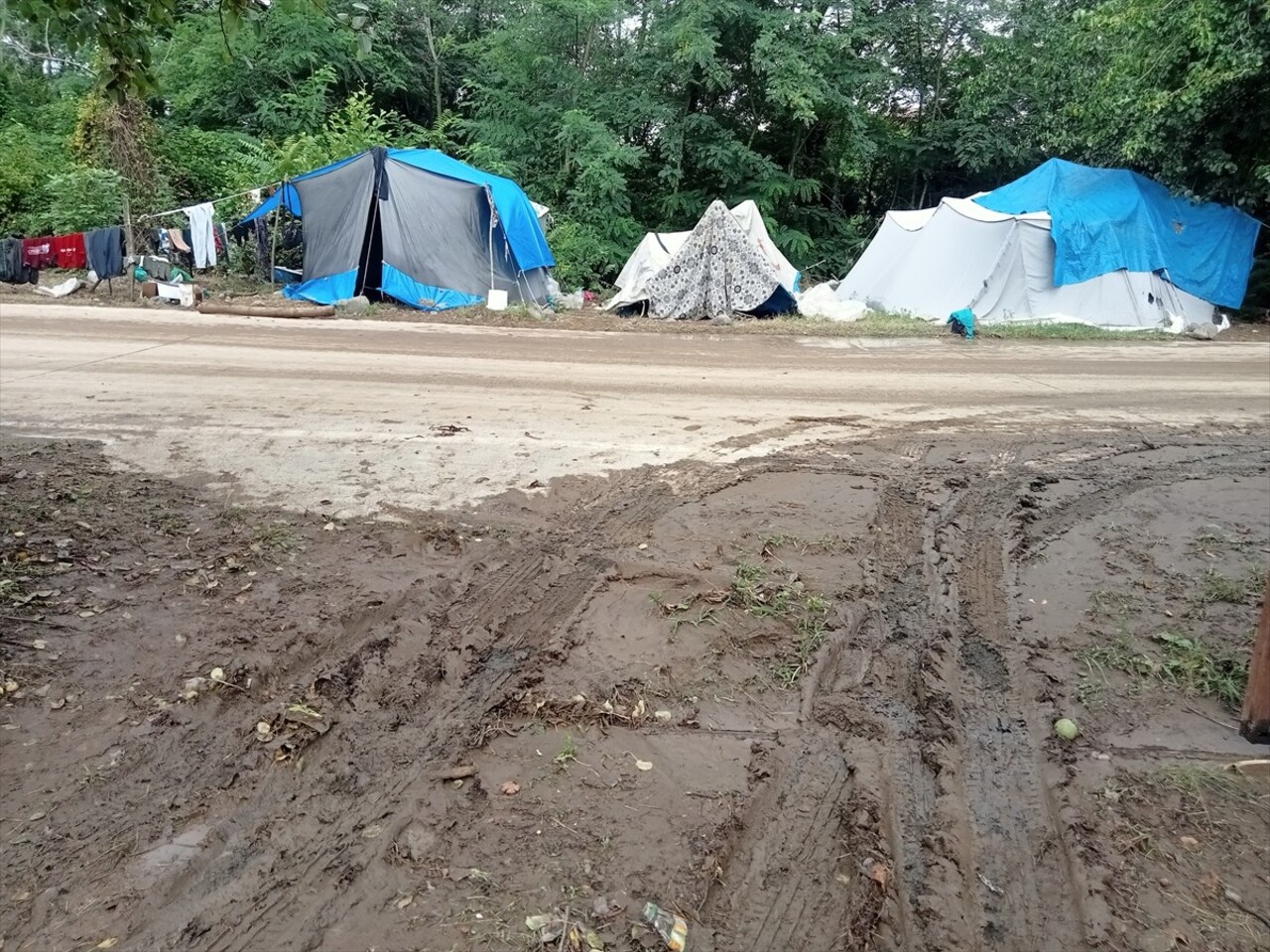 Samsun'un Terme ilçesinde etkili olan sağanak nedeniyle fındık toplamak için bölgede bulunan...