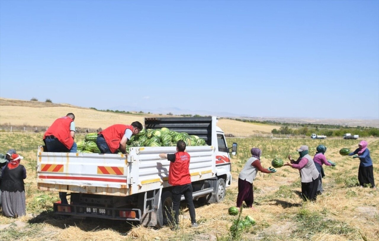 Aksaray Belediyesi, hem üreticilere destek olmak hem de Aksaray karpuzunun tanıtımını yapmak...