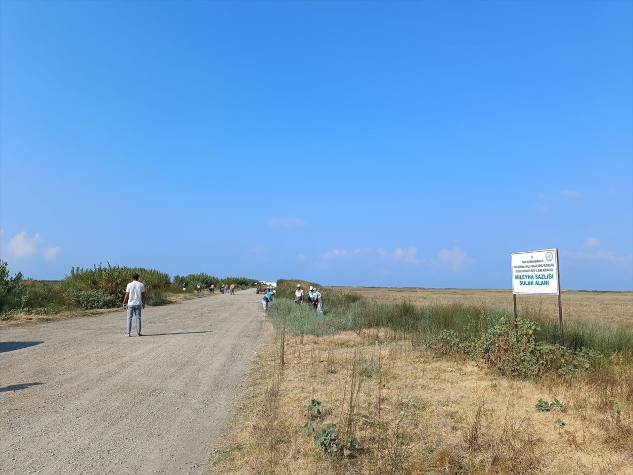 Hatay'ın Samandağ ilçesinde, "Mahalli Öneme Haiz Sulak Alan" olarak tescil edilen ve yüzlerce kuş...