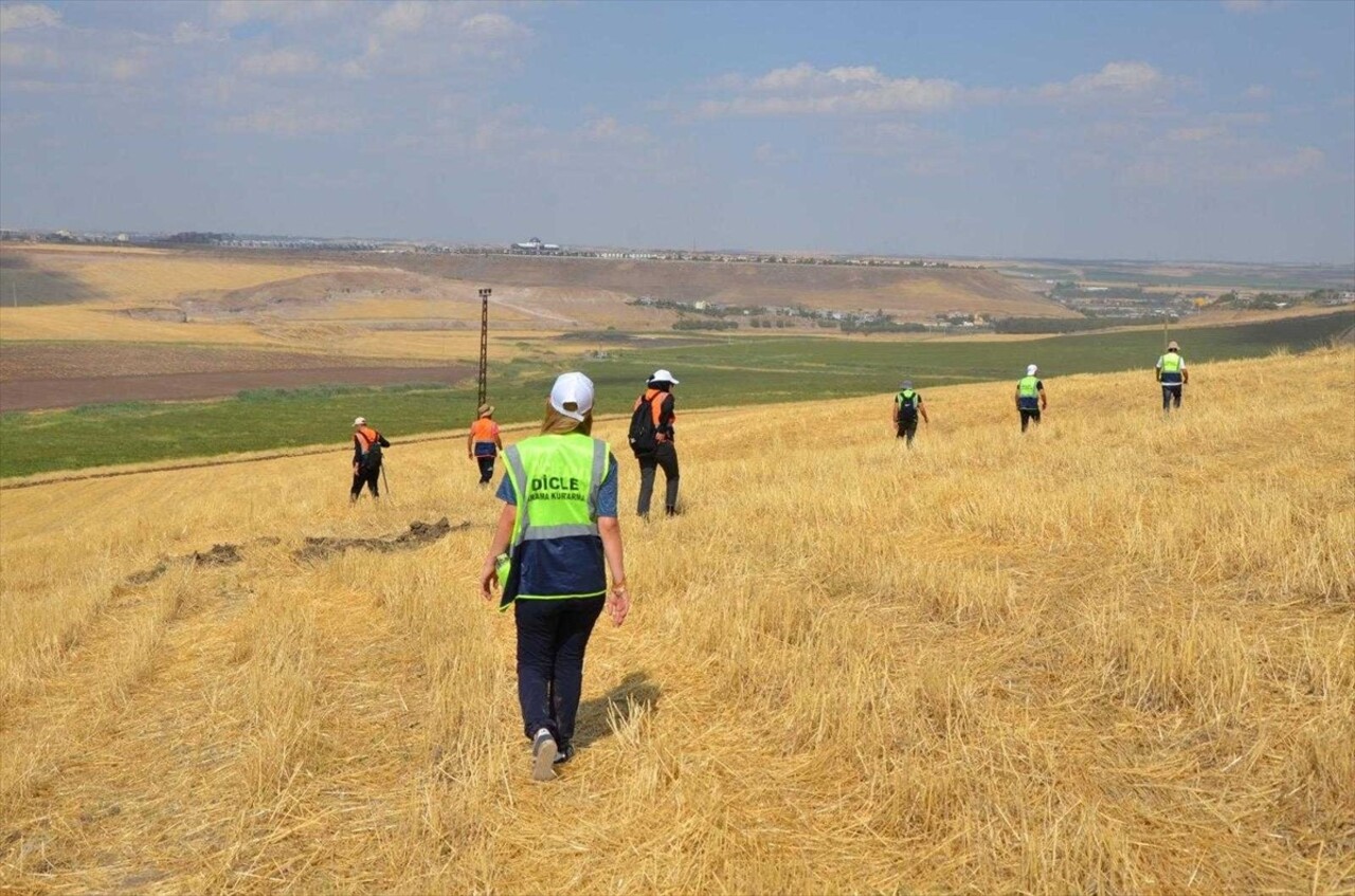 Dicle Elektrik'in gönüllü çalışanlarından oluşan ekip, Diyarbakır'ın merkez Bağlar ilçesinde...