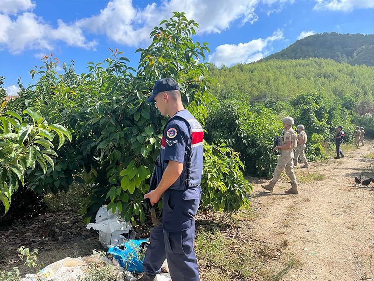 Antalya'nın Alanya ilçesinde jandarma ekipleri, hasat zamanı gelen avokado, muz, ejder meyvesi...