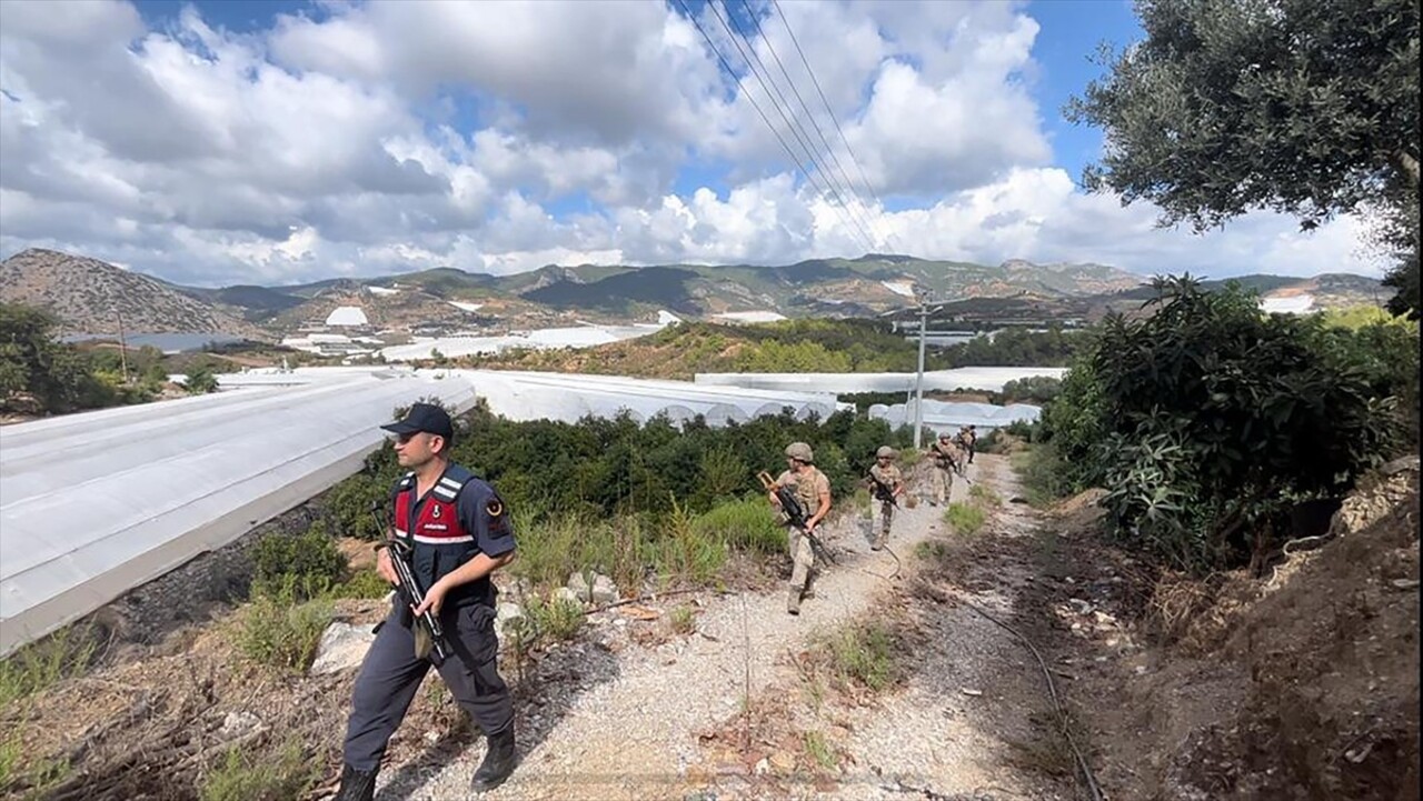 Antalya'nın Alanya ilçesinde jandarma ekipleri, hasat zamanı gelen avokado, muz, ejder meyvesi...