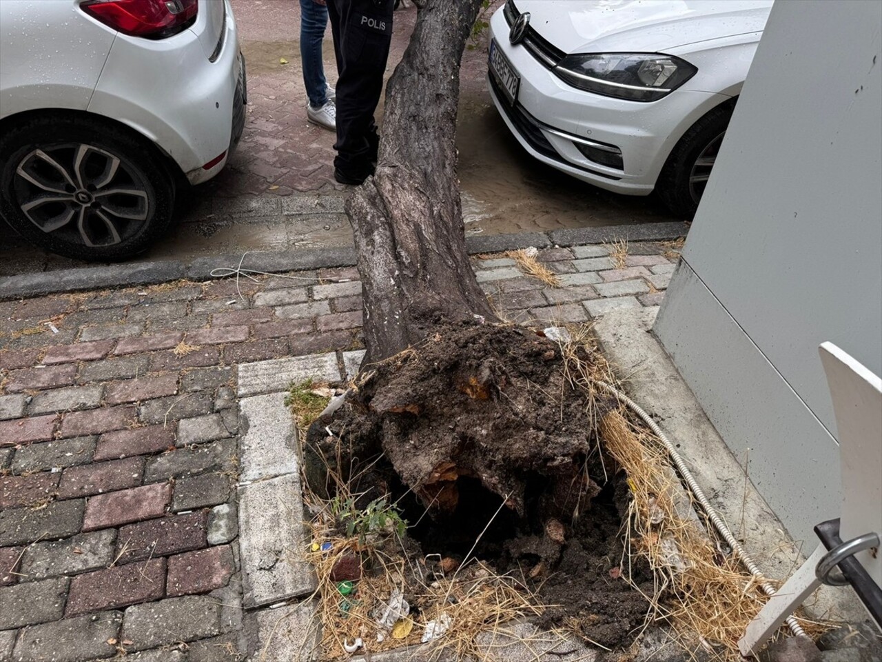 İstanbul'da bazı bölgelerinde gök gürültülü sağanak yağış etkili oluyor. Sağanakla birlikte etkili...