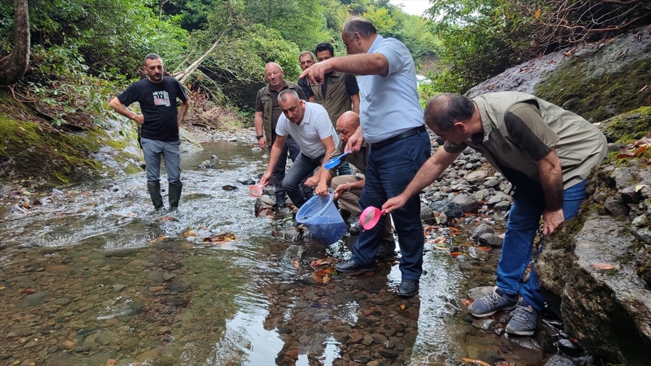 Doğa Koruma ve Milli Parklar Genel Müdürlüğünün iç suların balıklandırılması projesi kapsamında...