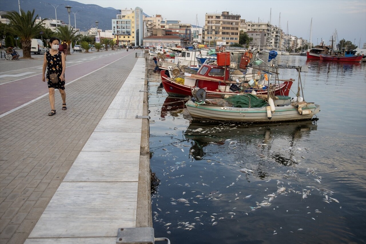 Yunanistan'ın orta kesiminde bulunan Volos kentinde 27 Ağustos'ta binlerce ölü balığın deniz...