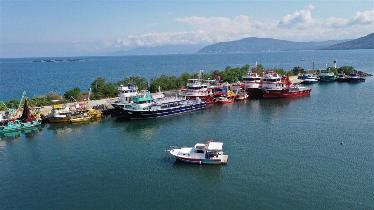 Av yasağının kalkacağı 1 Eylül öncesi tekne ve ağlarını onararak hazırlıklarını tamamlayan...