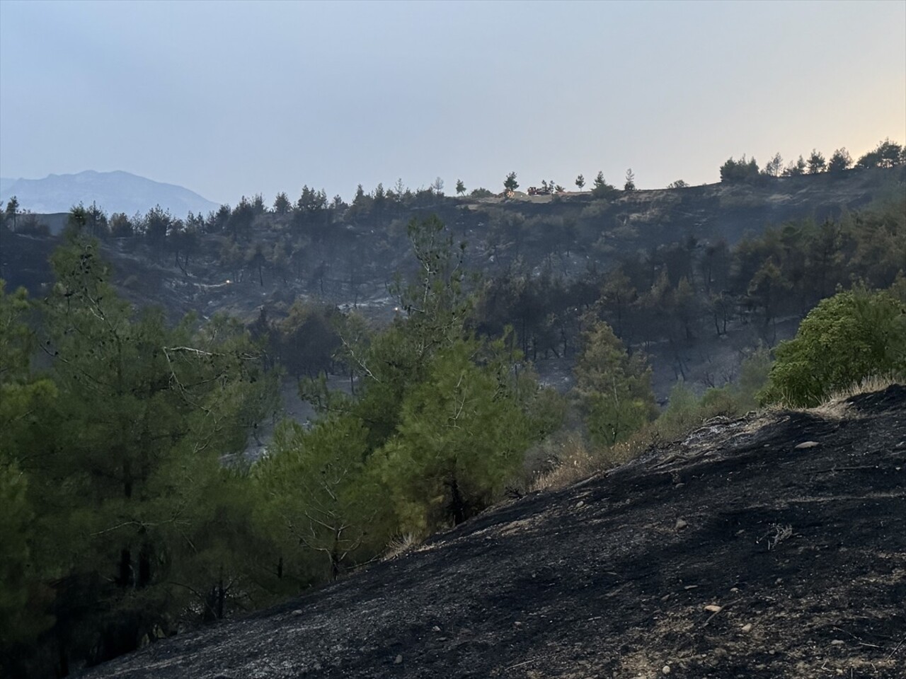  Kahramanmaraş'ın Onikişubat ilçesinde çıkan orman yangınına karadan müdahale ediliyor.