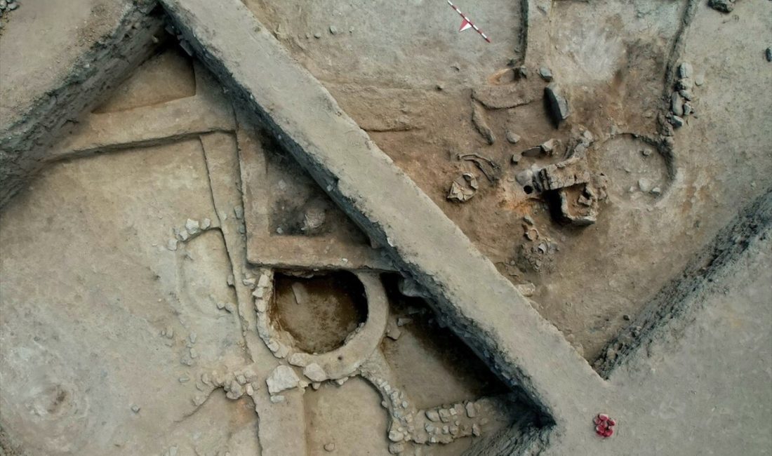 Kütahya Tavşanlı Höyük'te bulunan