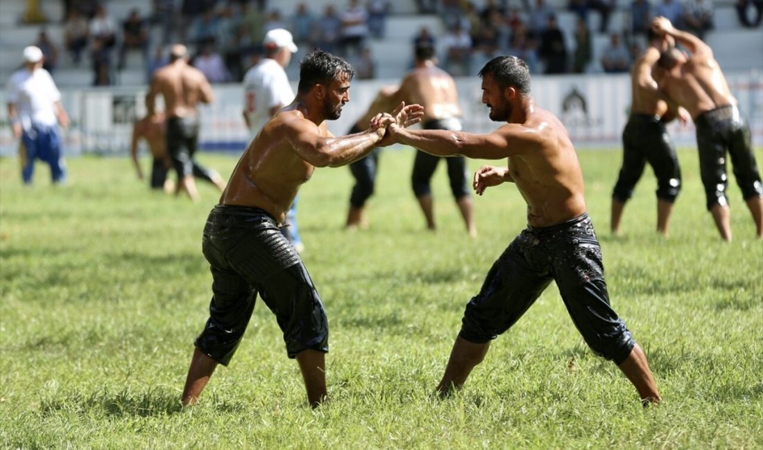 Bu yılki Akbalık Yağlı