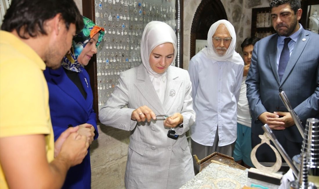 Bakan Göktaş, Mardin'deki telkari