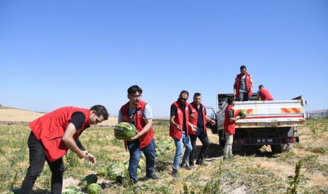 Aksaray Belediyesi, üreticilere destek