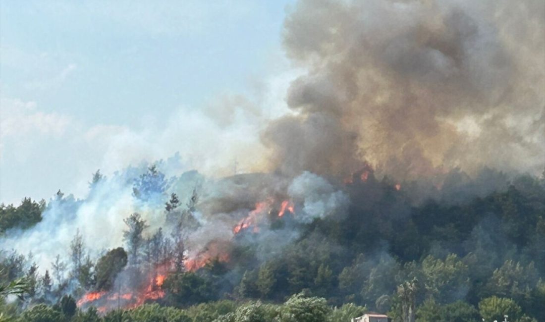 Antalya'nın Aksu ilçesinde çıkan