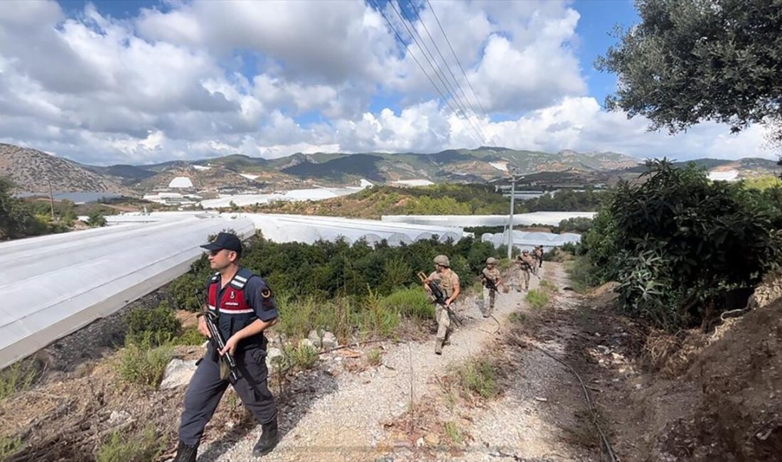 Alanya'da jandarma, tropikal meyve