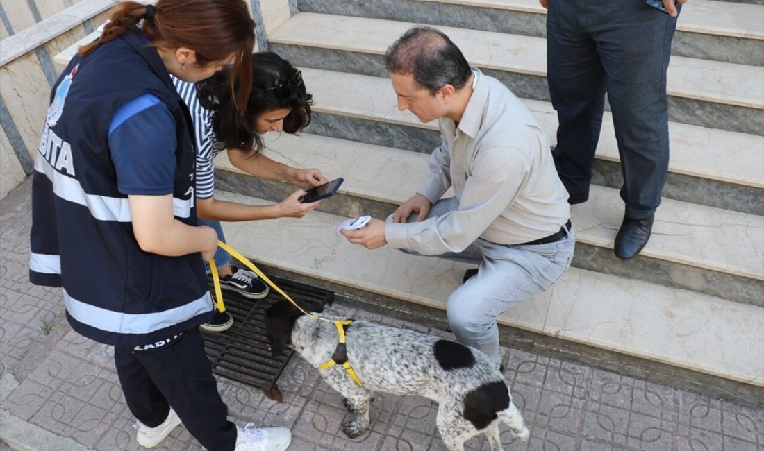 Salıpazarı Belediye Başkanı, hasta