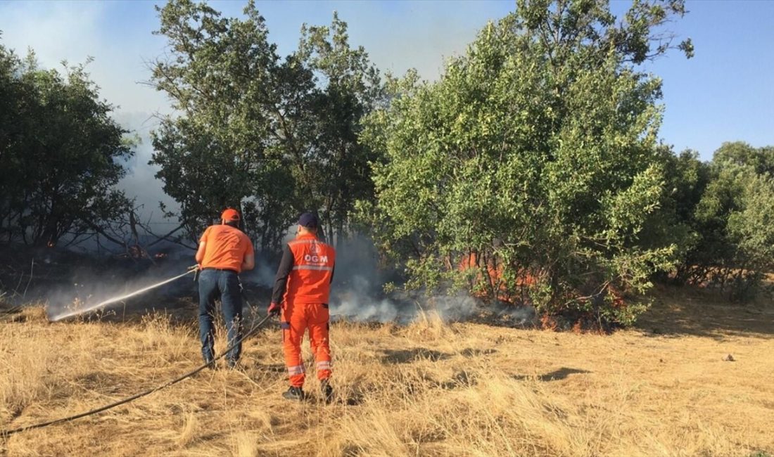 Bingöl'de iki farklı bölgede