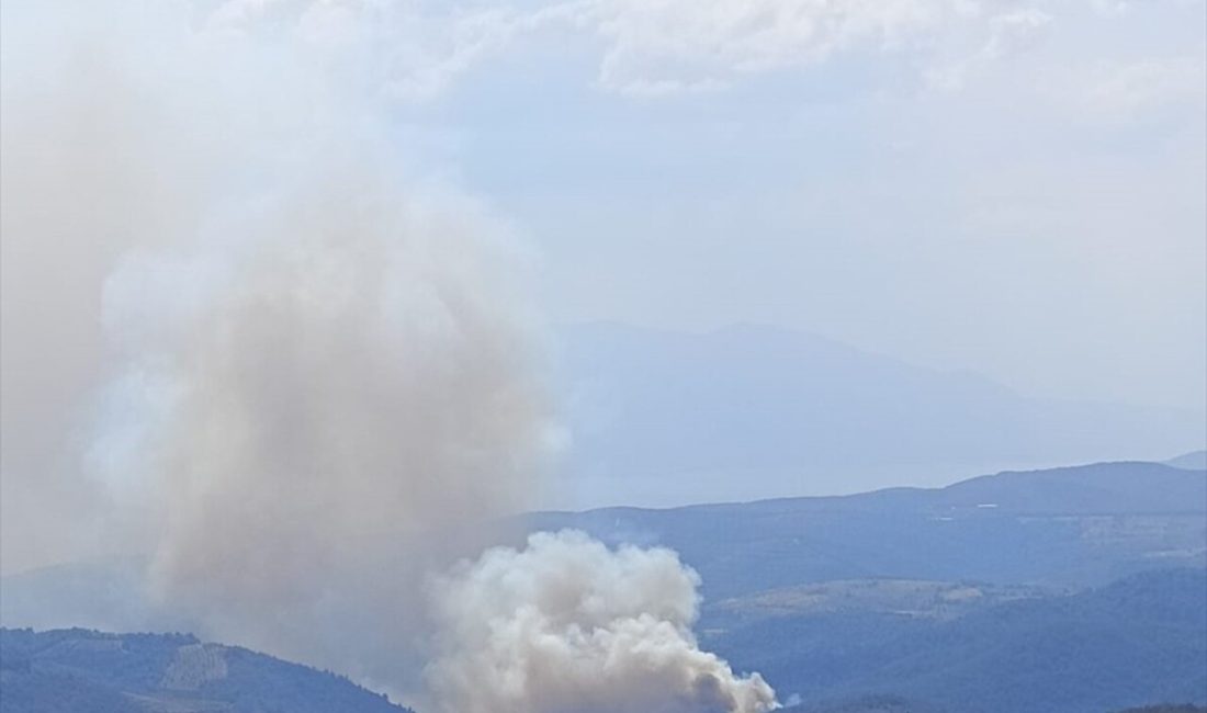 İznik'teki orman yangınına havadan