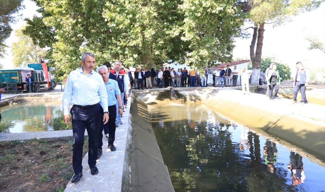 Edirne'nin İpsala ilçesinde üretilen