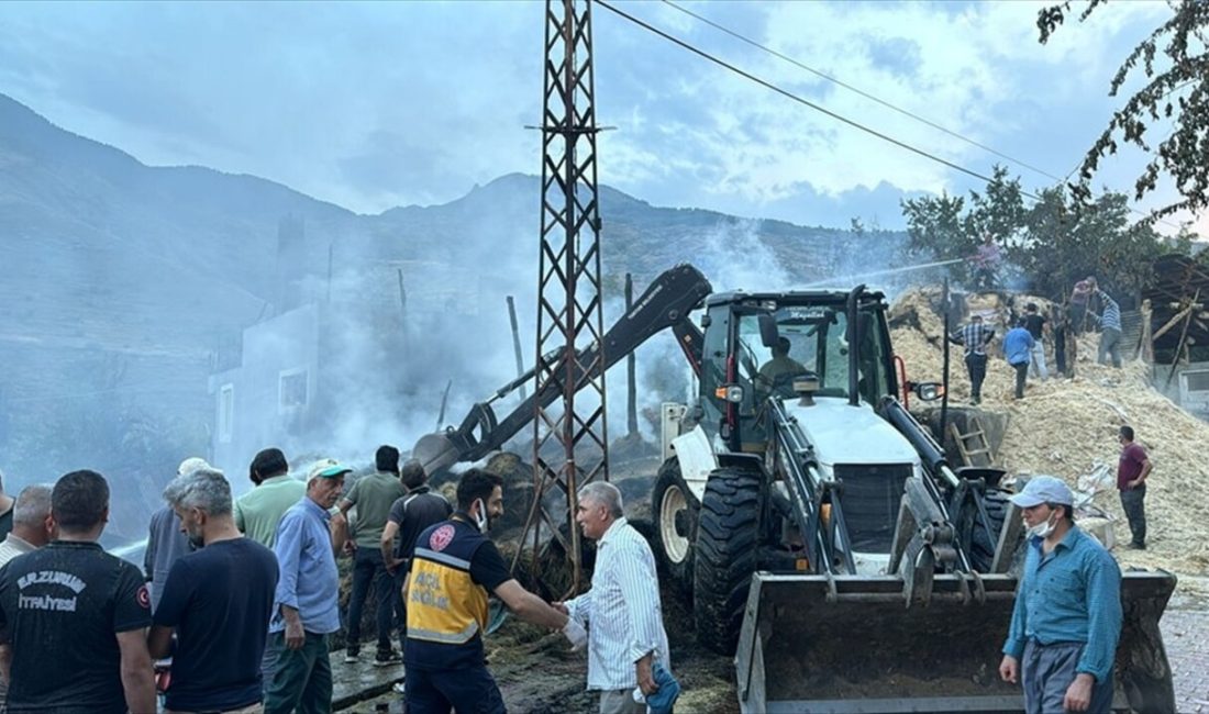 Erzurum'un Tortum ilçesinde çıkan