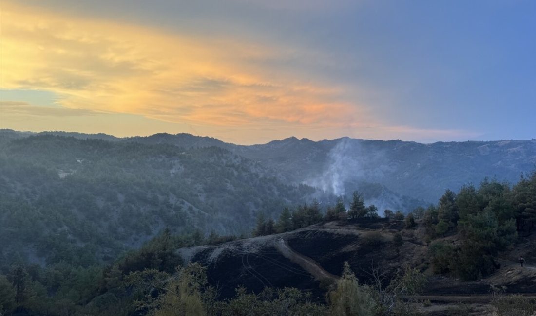 Kahramanmaraş'ta çıkan orman yangınına