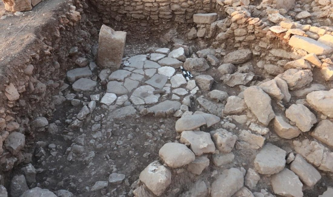 Şanlıurfa'daki Karahantepe kazılarında nadir