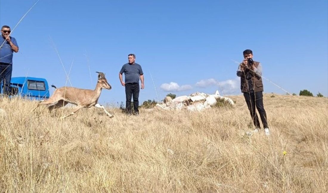 Yozgat Aydıncık'taki Kazankaya Kanyonu'na