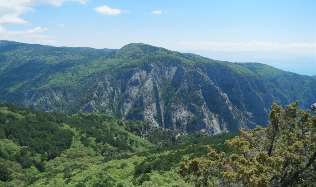 Kazdağları Milli Parkı, yangın