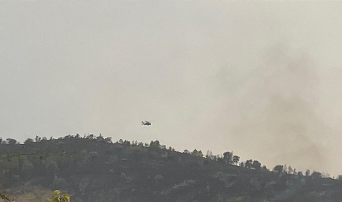 Kızılcahamam'da başlayan yangın, Bolu'nun