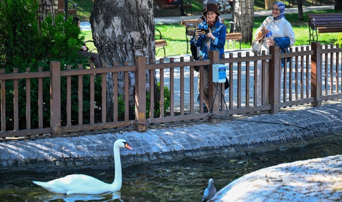 Kuğulu Park'ta kavgaya tutuşan