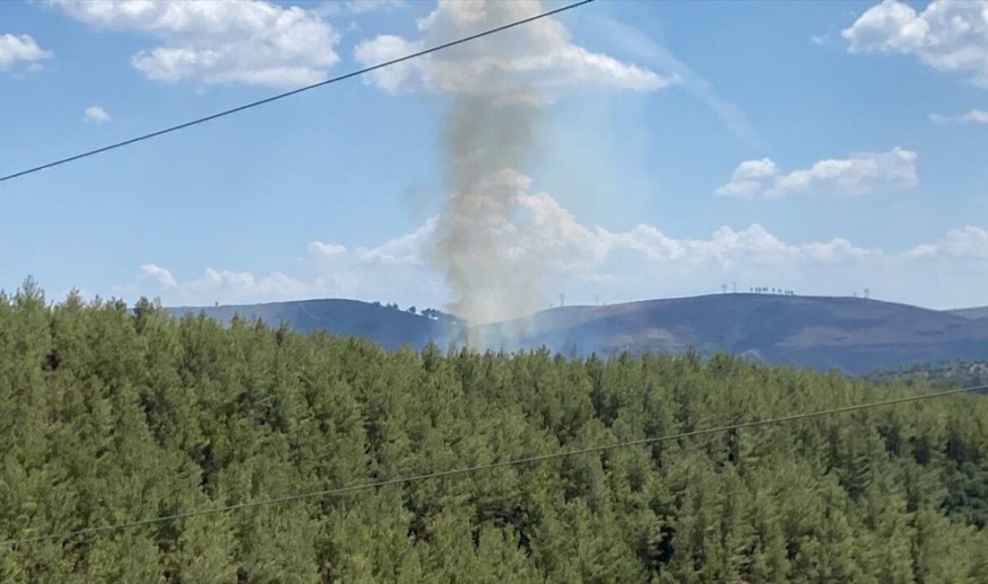 Kavaklıdere‘deki orman yangını, hava