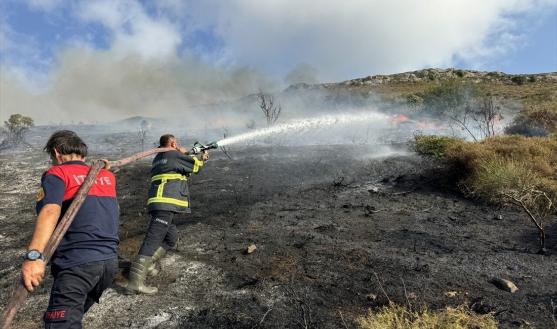 Sinop'ta Adabaşı'nda çıkan örtü