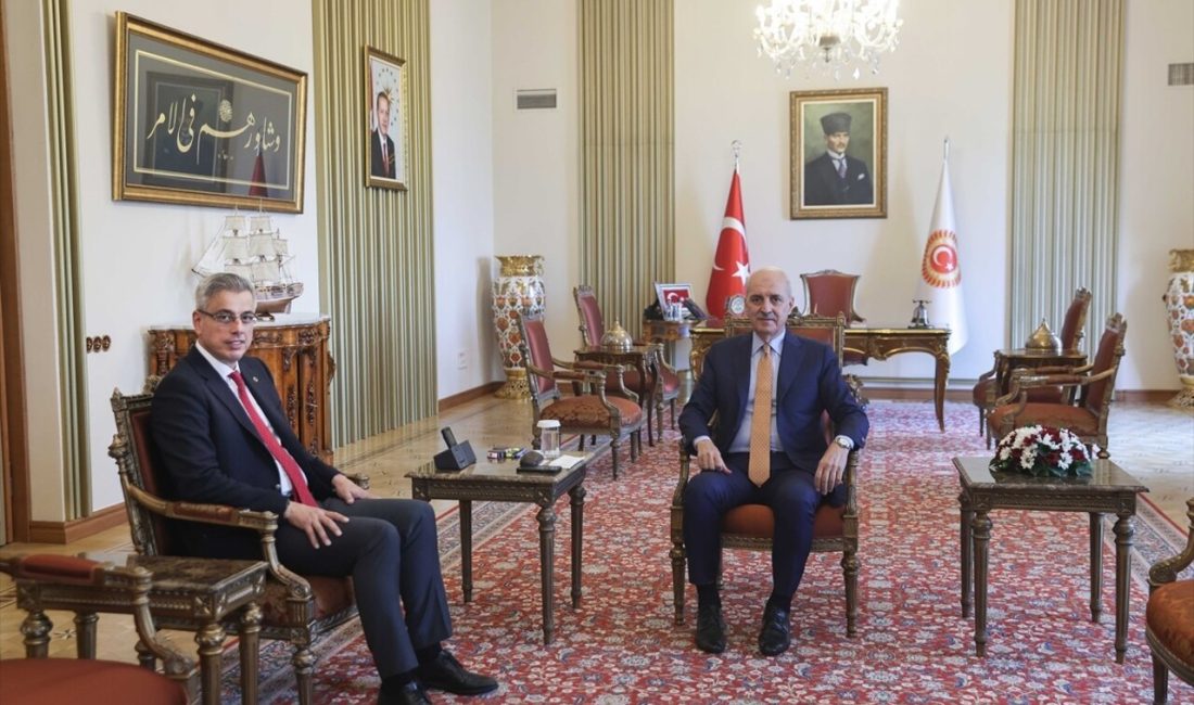 TBMM Başkanı Numan Kurtulmuş,