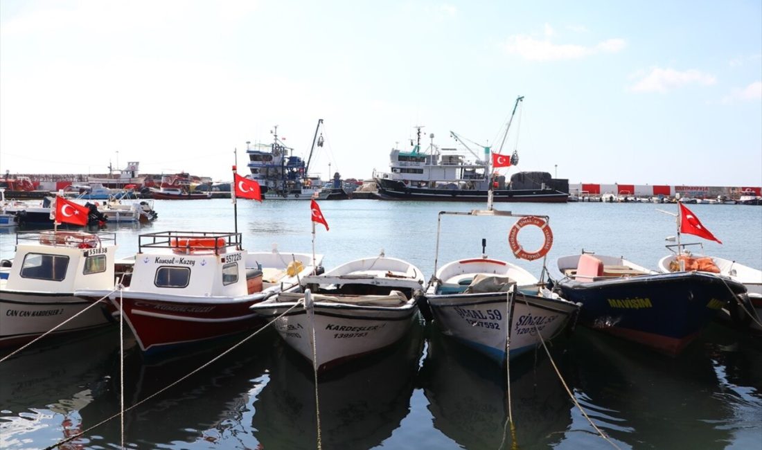 Tekirdağ'da balıkçılar, 1 Eylül'de