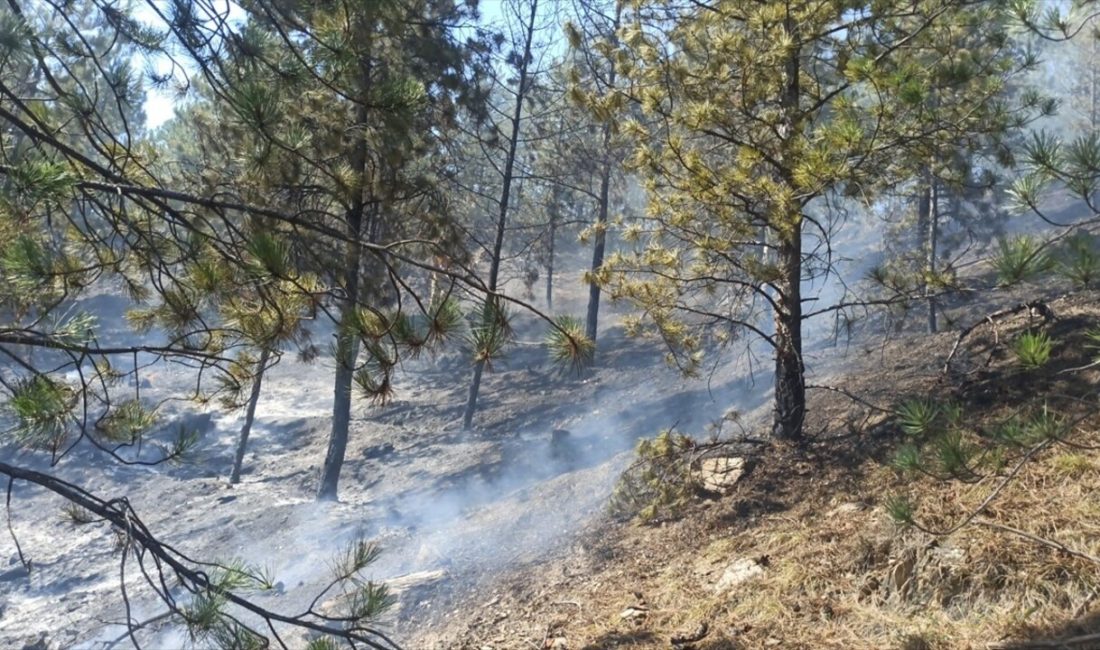 Tokat'ın Turhal ilçesinde çıkan